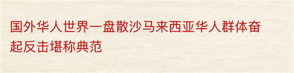 国外华人世界一盘散沙马来西亚华人群体奋起反击堪称典范