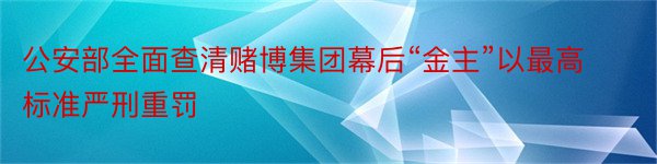 公安部全面查清赌博集团幕后“金主”以最高标准严刑重罚