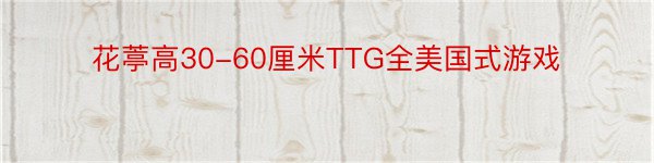 花葶高30-60厘米TTG全美国式游戏