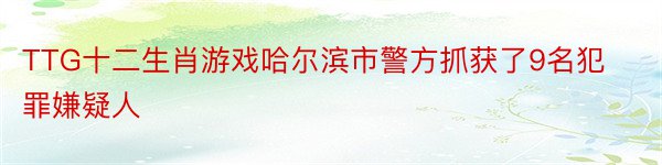 TTG十二生肖游戏哈尔滨市警方抓获了9名犯罪嫌疑人