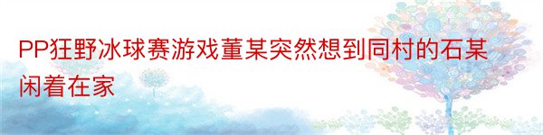 PP狂野冰球赛游戏董某突然想到同村的石某闲着在家