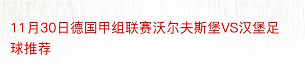 11月30日德国甲组联赛沃尔夫斯堡VS汉堡足球推荐