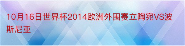 10月16日世界杯2014欧洲外围赛立陶宛VS波斯尼亚