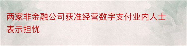 两家非金融公司获准经营数字支付业内人士表示担忧